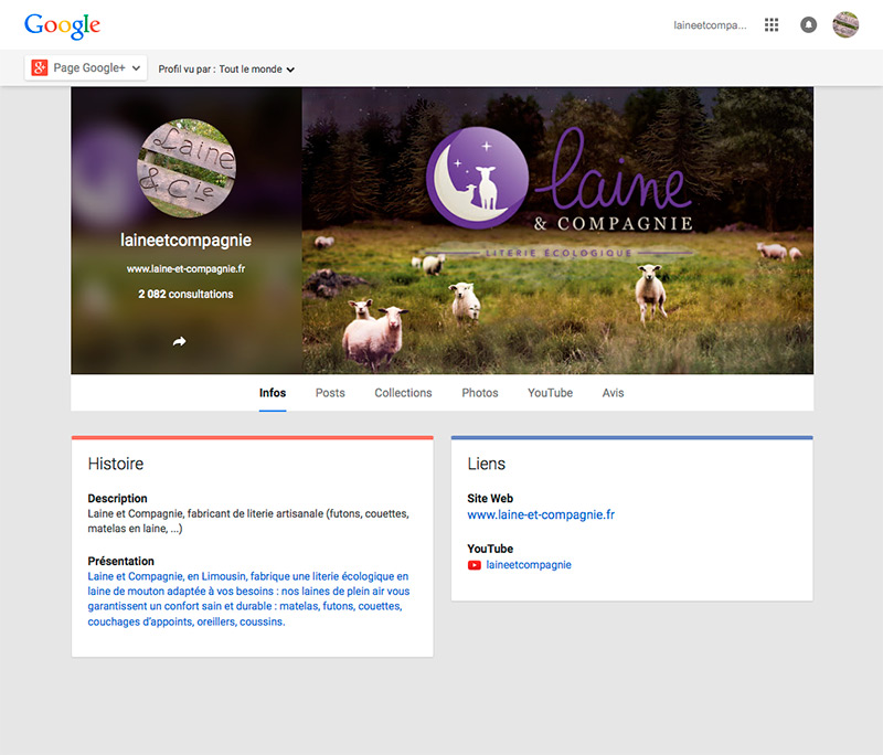 Banniere Reseau Social Laine Et Compagnie Google Plus Zoom
